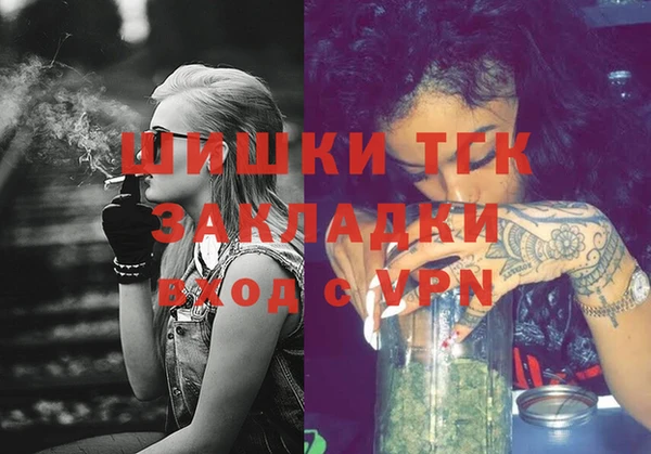 дмт Инта
