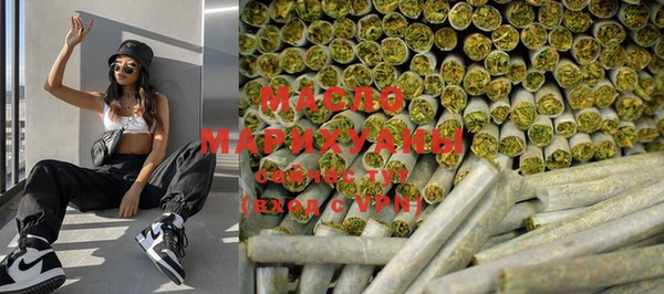 дмт Инта