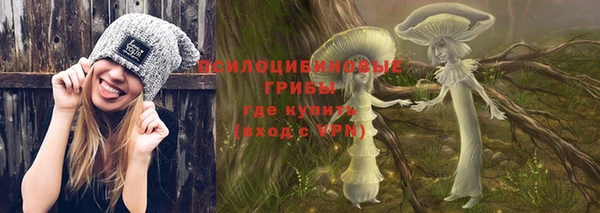 дмт Инта