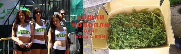дмт Инта