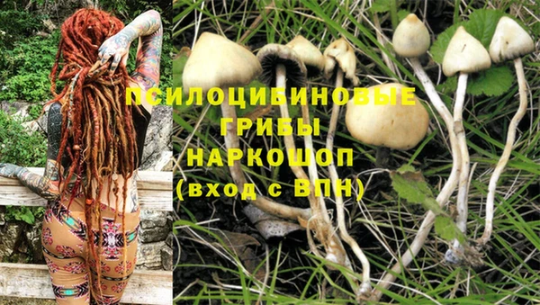 мяу мяу кристалл Иннополис
