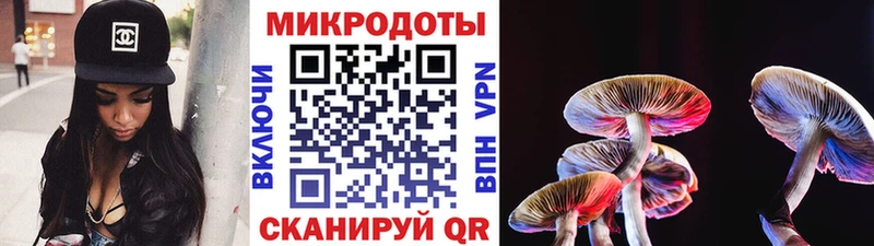 Псилоцибиновые грибы Psilocybine cubensis  Сыктывкар 